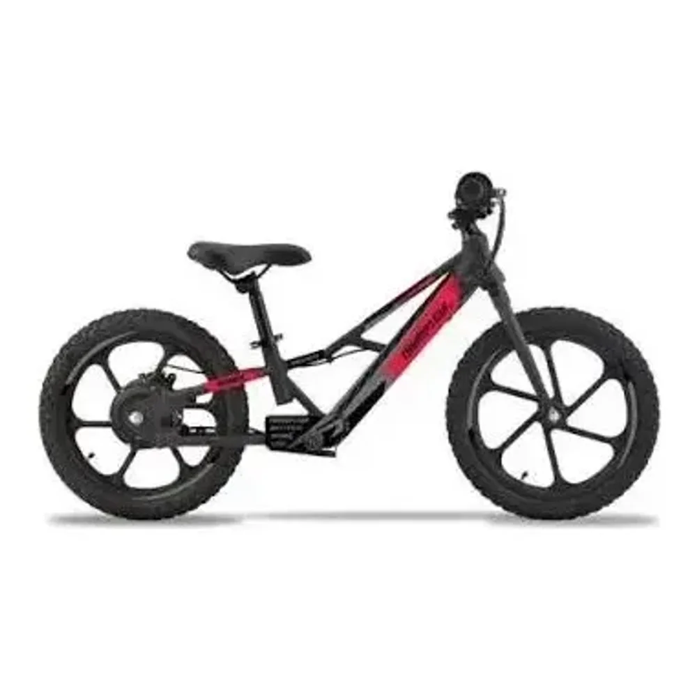 Thumpstar TSE 12L